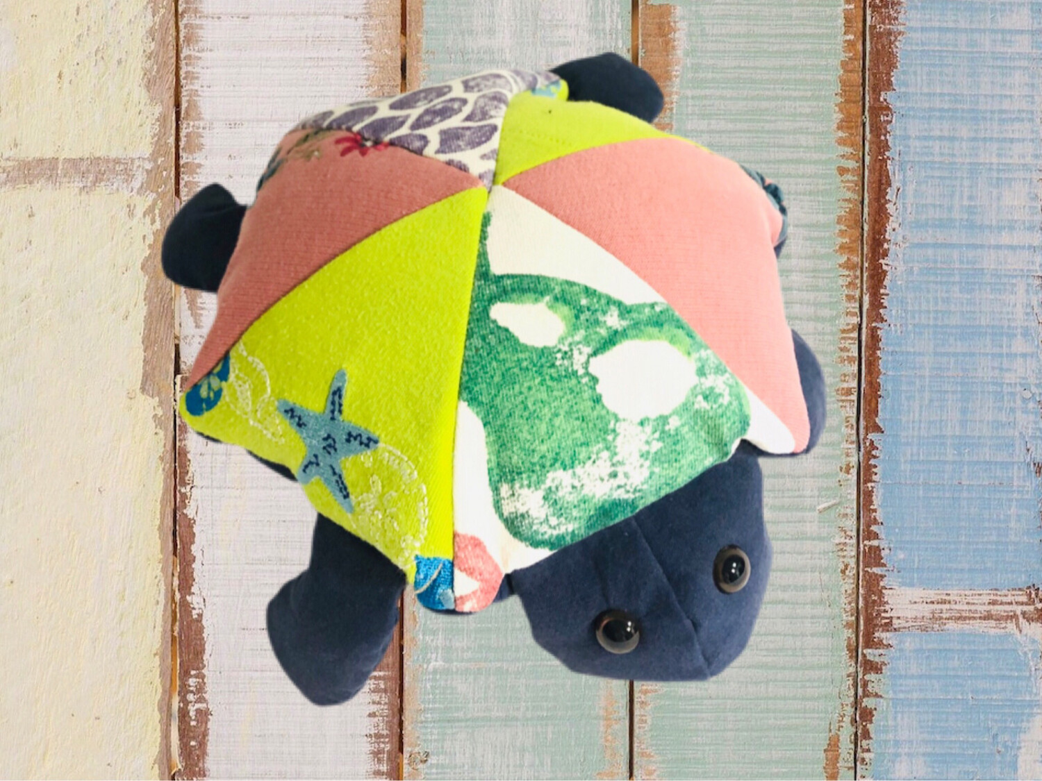 Memory Turtle