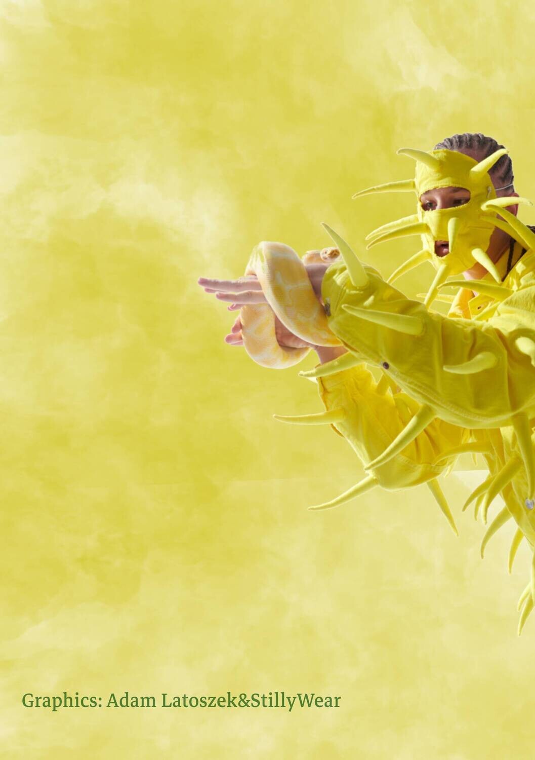 Obraz ,,AMFISBENA&#39;&#39; Young IgI