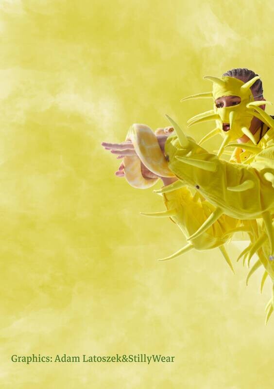 Obraz ,,AMFISBENA&#39;&#39; Young IgI