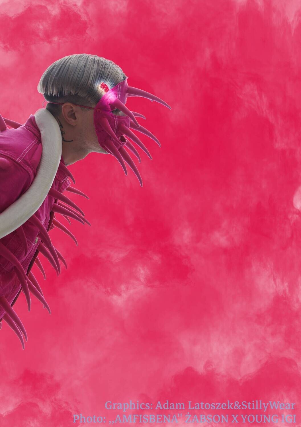 Obraz ,,AMFISBENA&#39;&#39; Żabson