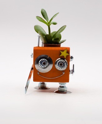 robot jar. Handmade wooden plant flower pot