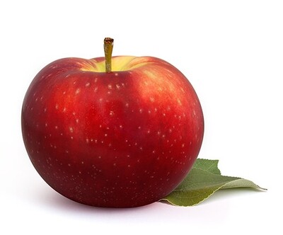 Panier Lobo