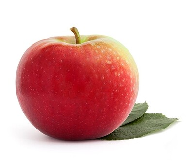 5lb Paulared 5lb Paulared