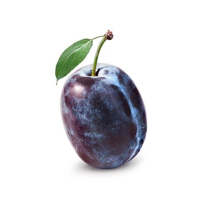 Minot 40lb Prune