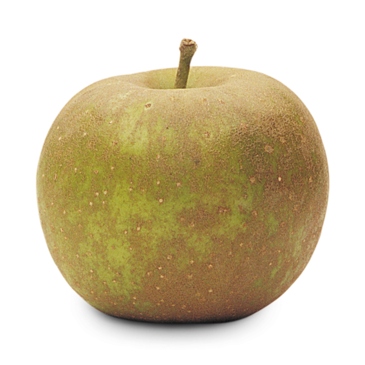 10lb Russet