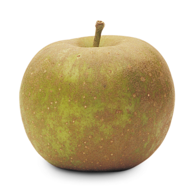 10lb Russet