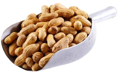 Peanuts  (sample)