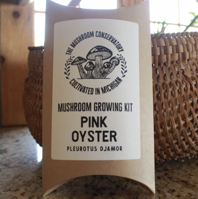 The Mushroom Conservatory: Pink Oyster Mushroom Growing Kit