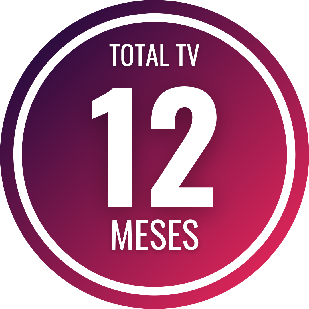 12 MESES