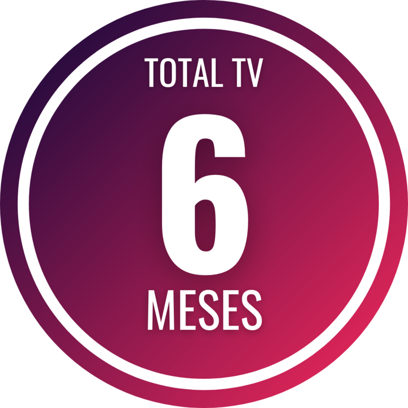 6 MESES