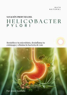 RECETARIO DIGITAL PARA ELIMINAR EL HELICOBACTER PYLORI