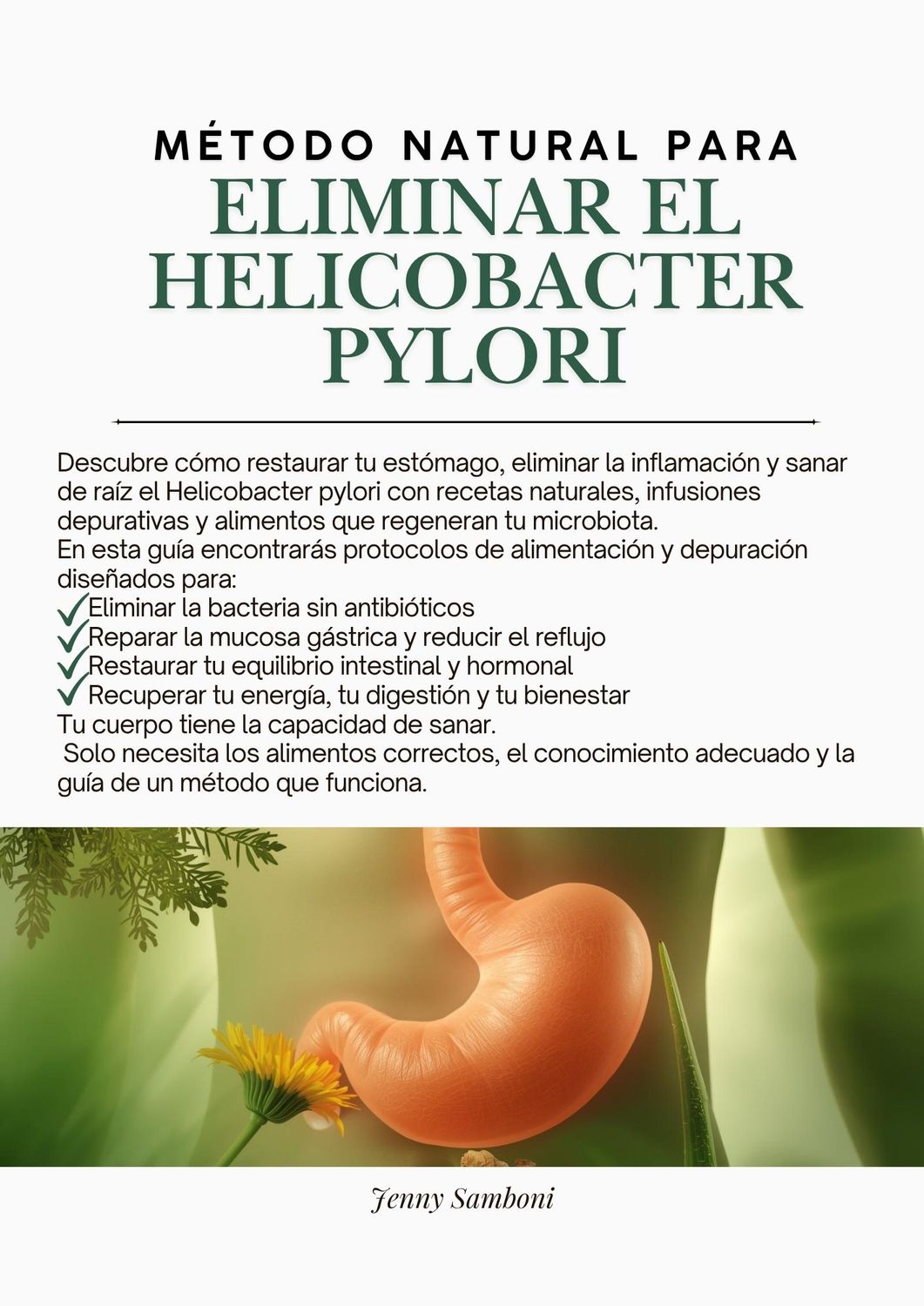 RECETARIO DIGITAL PARA ELIMINAR EL HELICOBACTER PYLORI