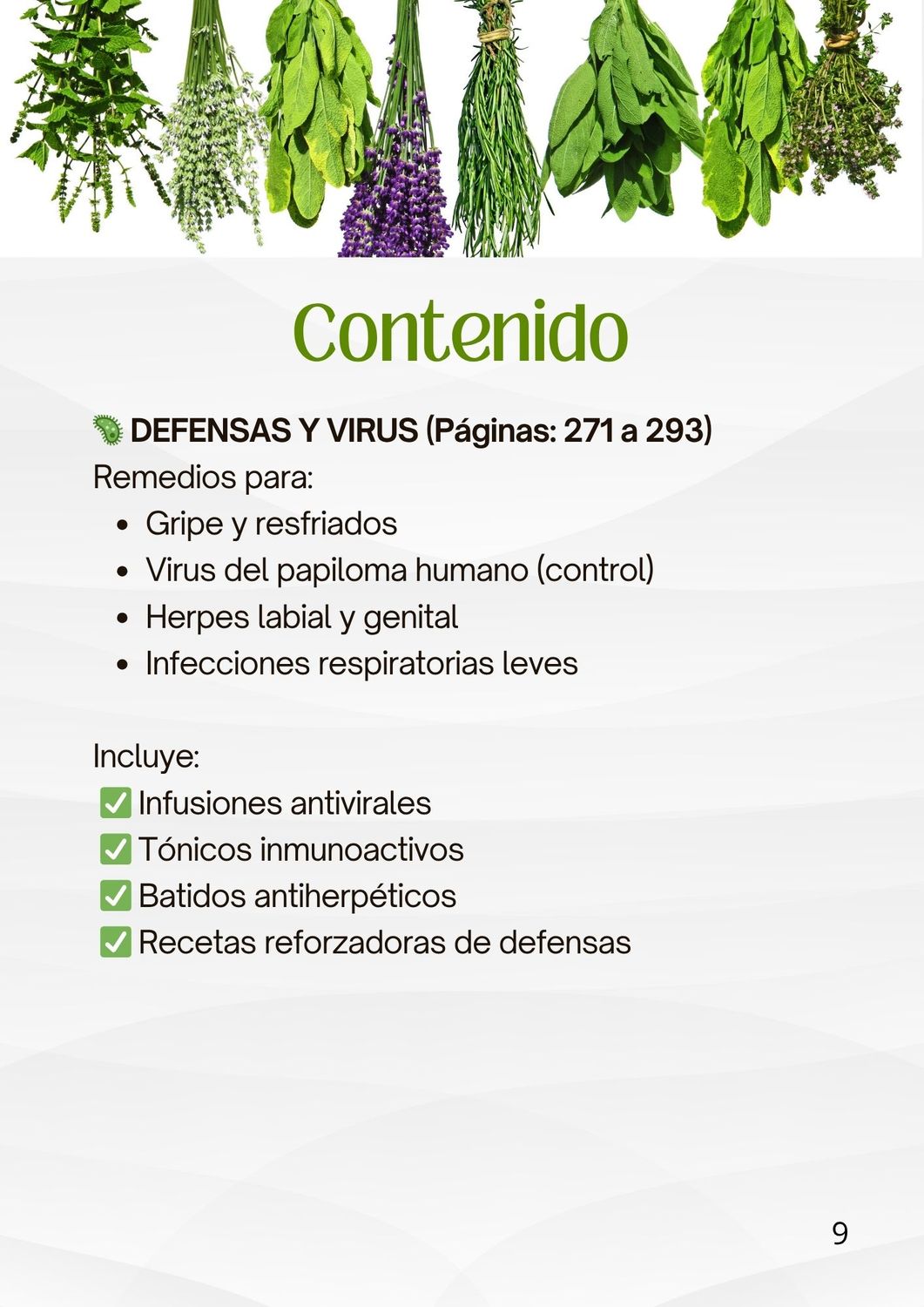 RECETARIO NATURISTA DIGITAL