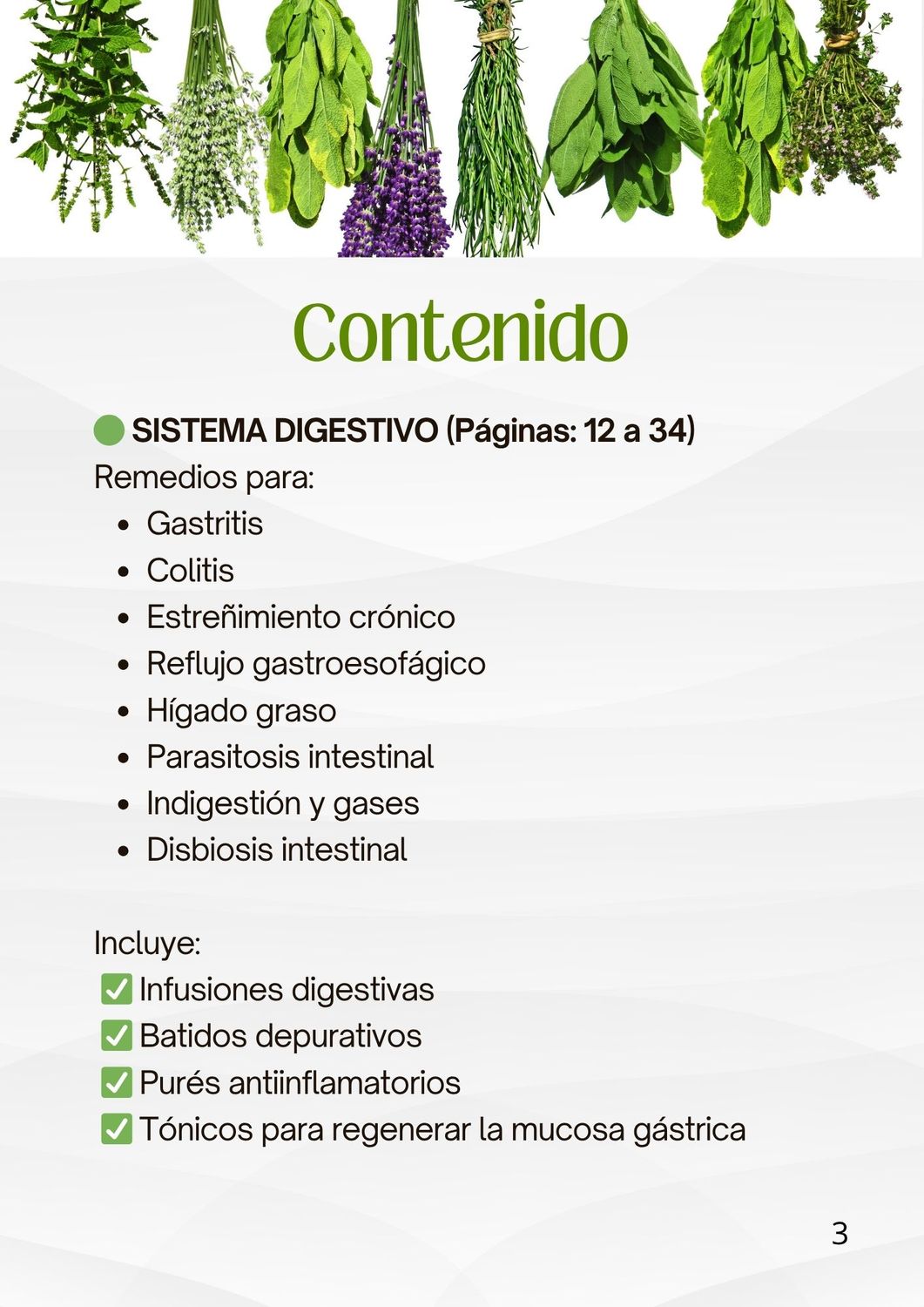 RECETARIO NATURISTA DIGITAL