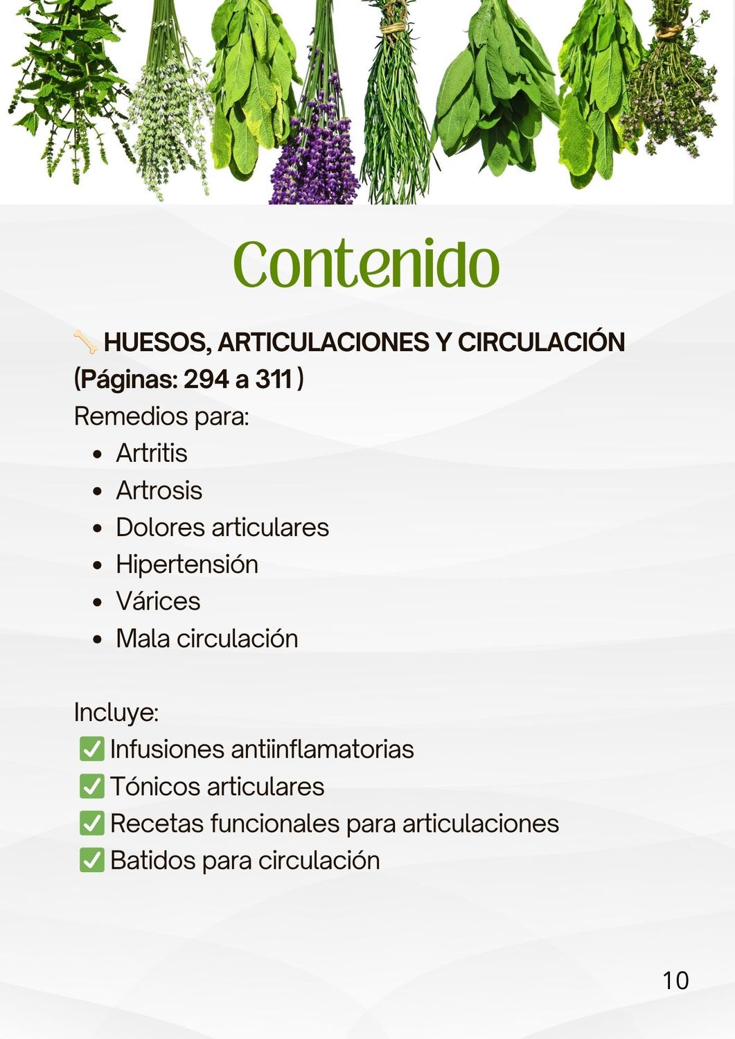 RECETARIO NATURISTA DIGITAL