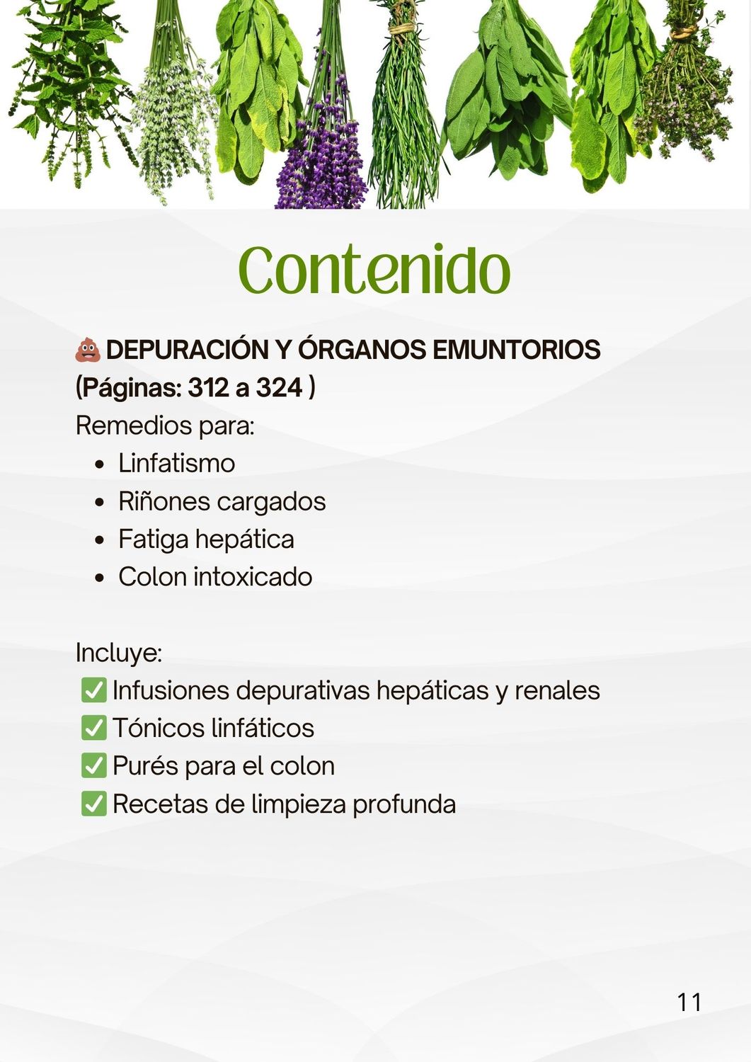 RECETARIO NATURISTA DIGITAL