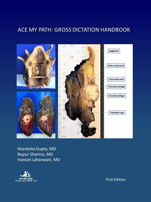 Ace My Path: Grossing Dictation Handbook - Ebook