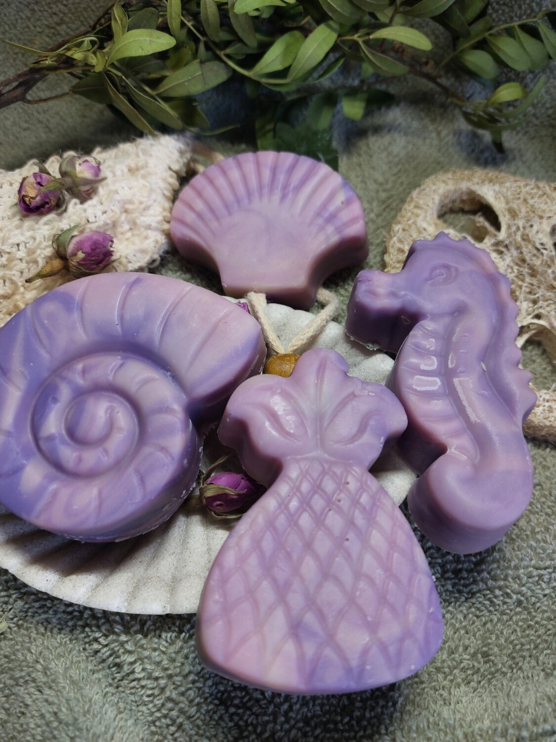 Meereszauber - Kirschblüte