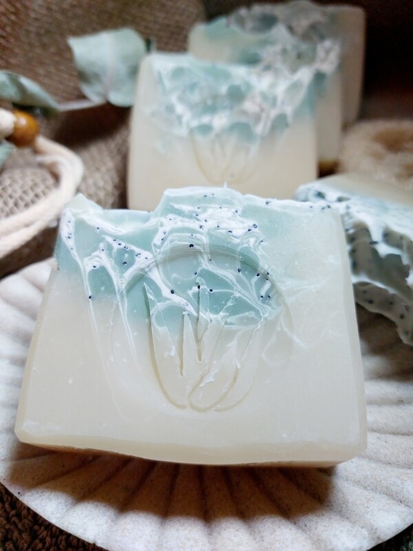 Aloe Vera - Scrub