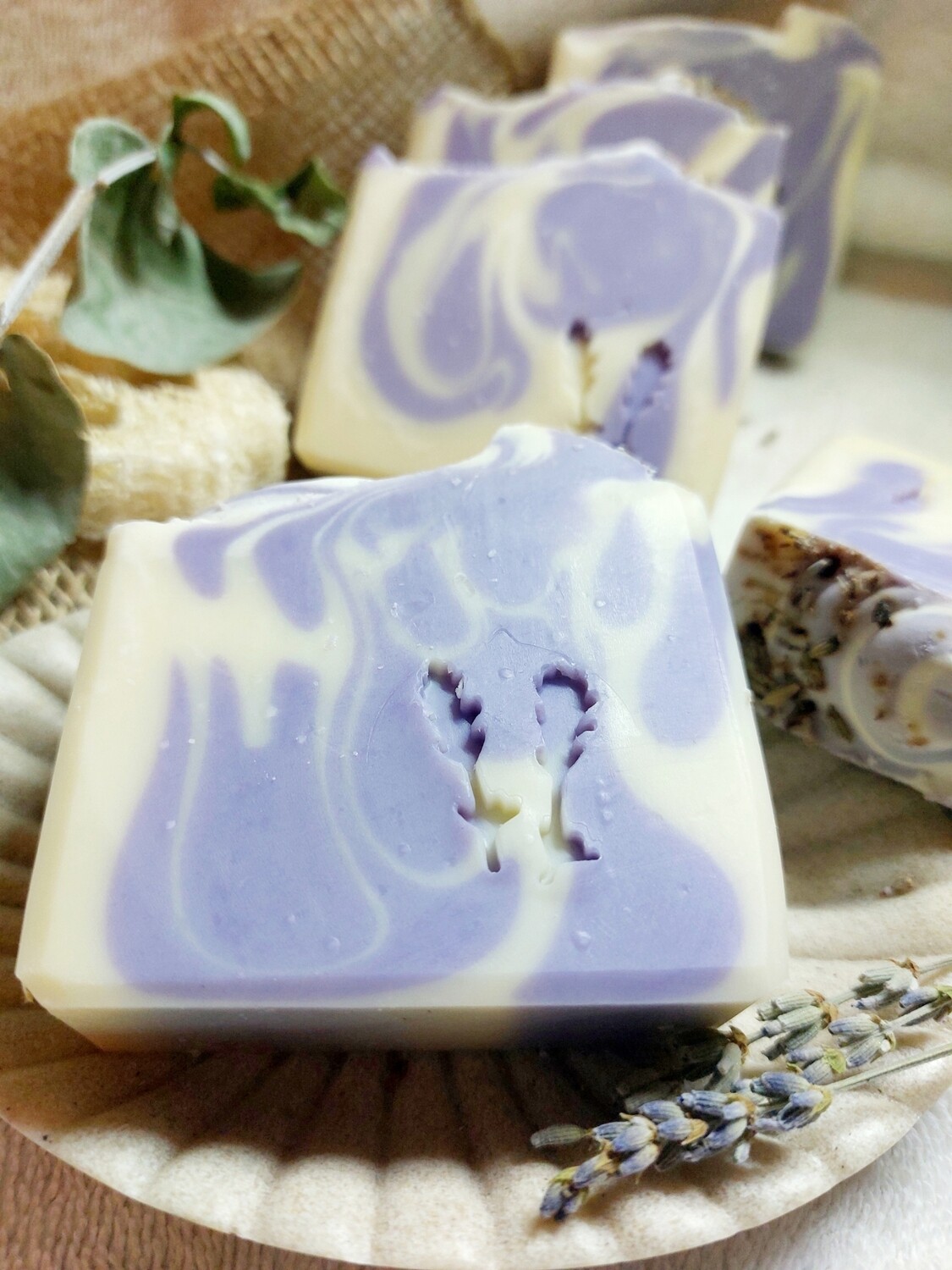 Lavendel