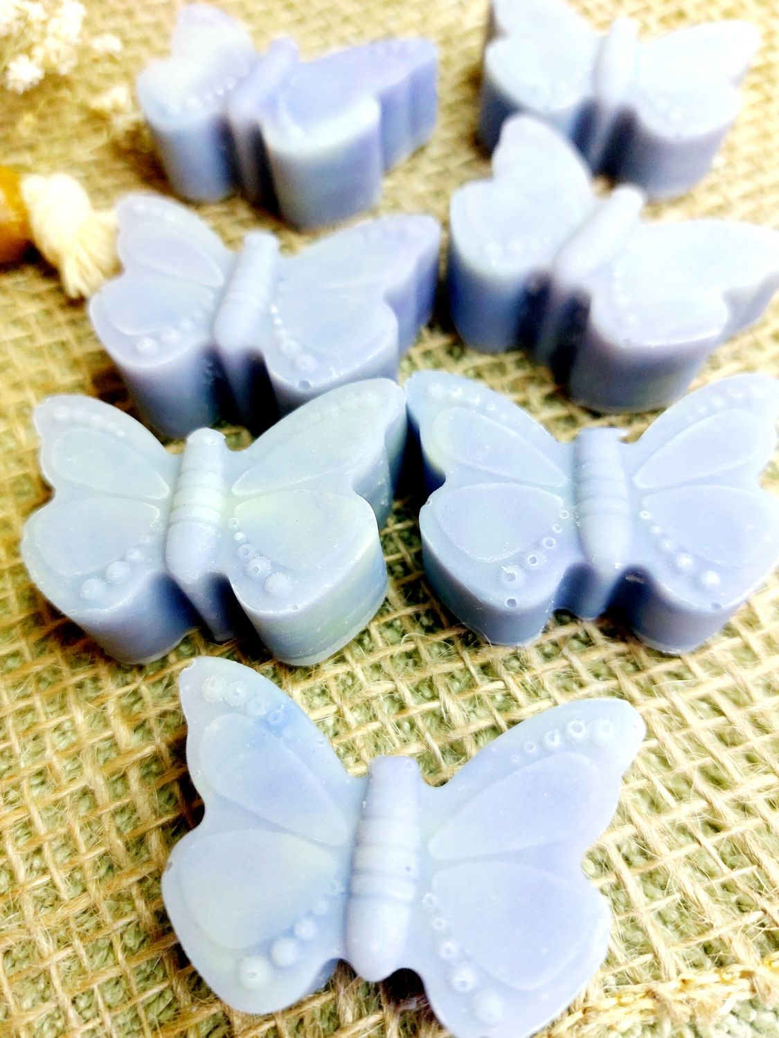 Schmetterling - Blumenwiese Schmetterling - Blumenwiese