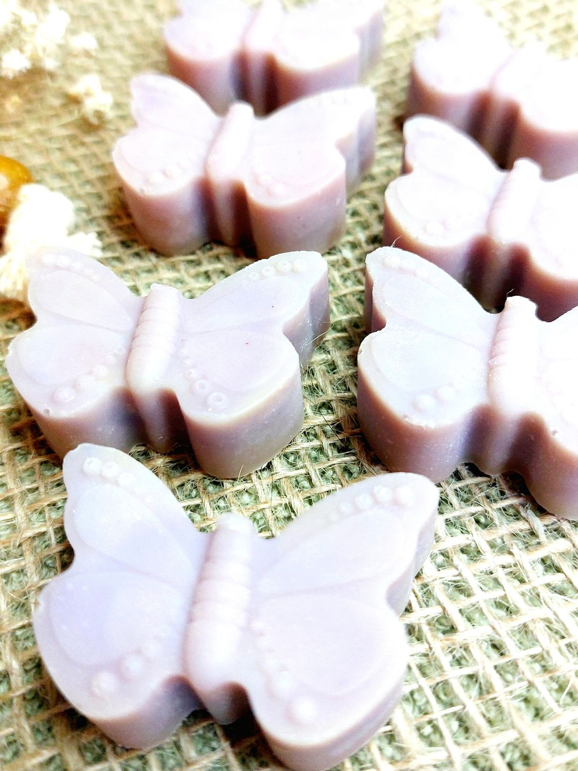 Schmetterling - Kirschblüte