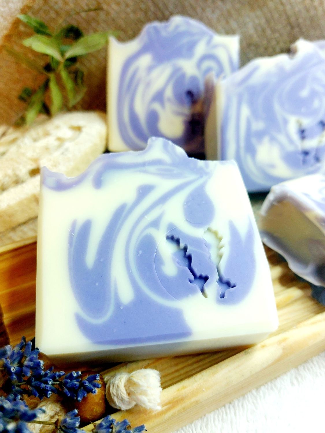 Lavendel Lavendel