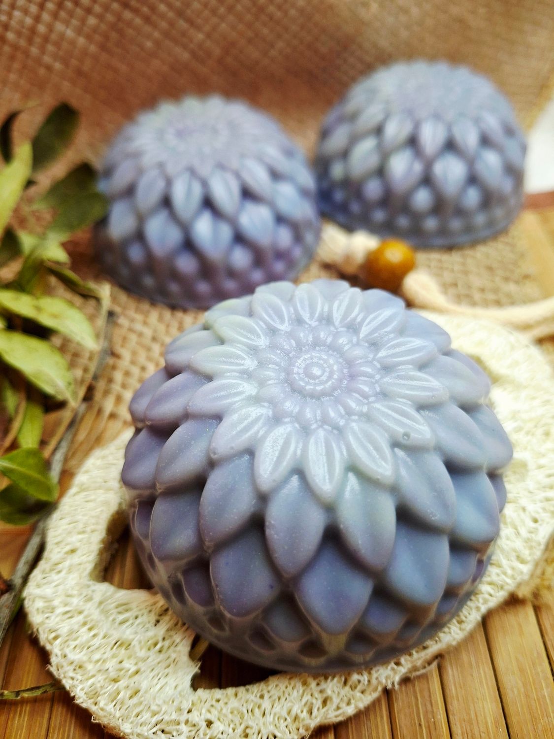 Dahlie - Blumenwiese Dahlie - Blumenwiese