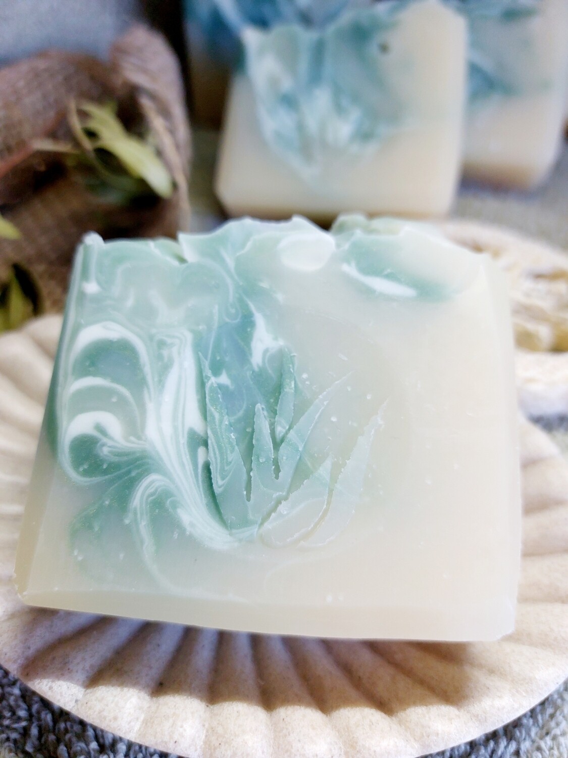 Aloe Vera Aloe Vera