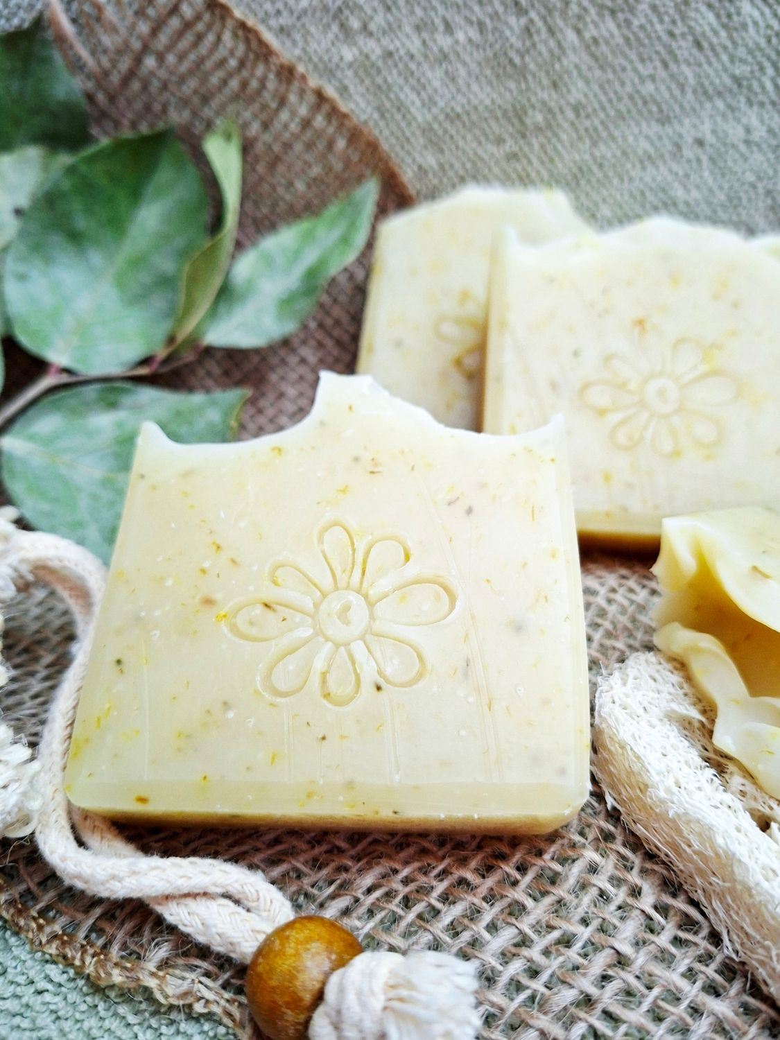 Ringelblume Ringelblume