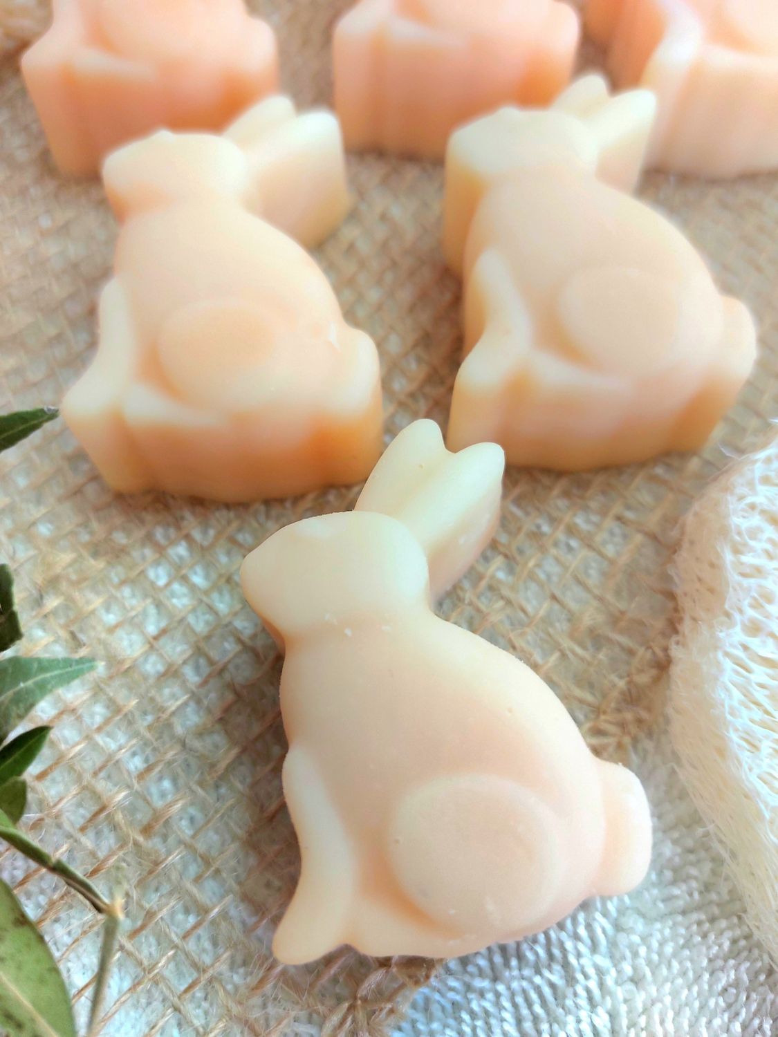 Häschen  - Aprikose