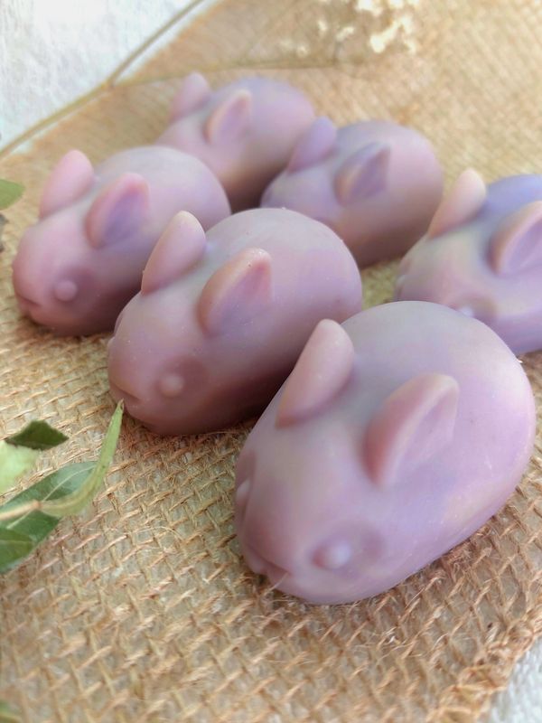 Hoppl  - Kirschblüte