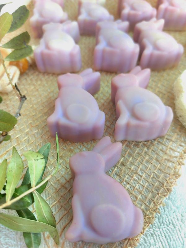 Häschen  - Kirschblüte