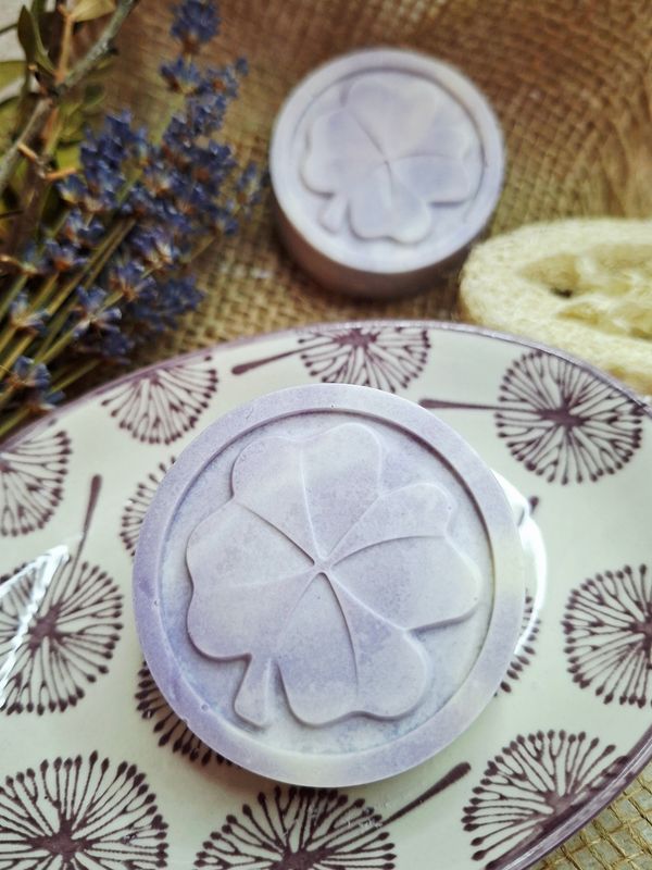 Glücksklee - Lavendel