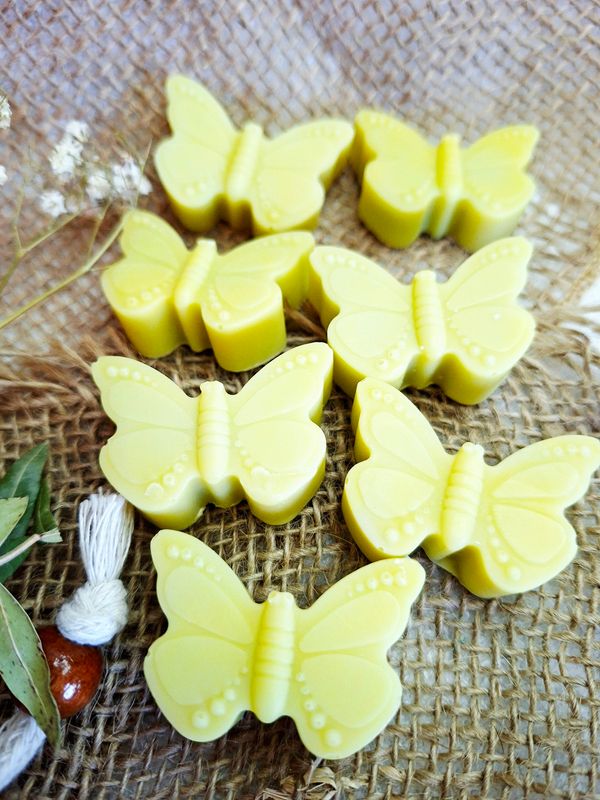 Schmetterling – Lemongras