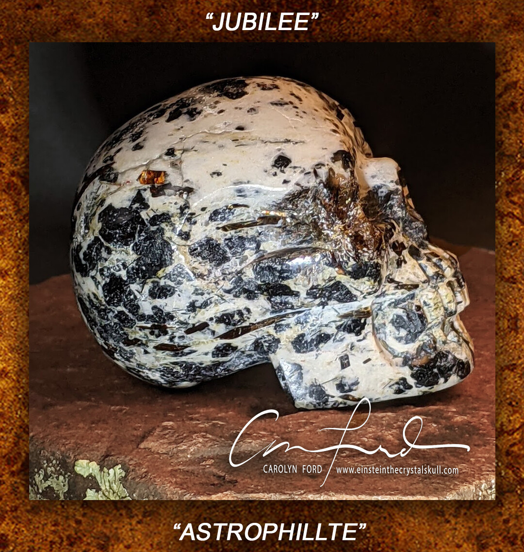 Astrophyllite Skull, Einstein the Ancient Crystal
Skull Imprinted 
