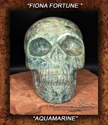 AQUAMARINE Skull, Einstein Imprinted 