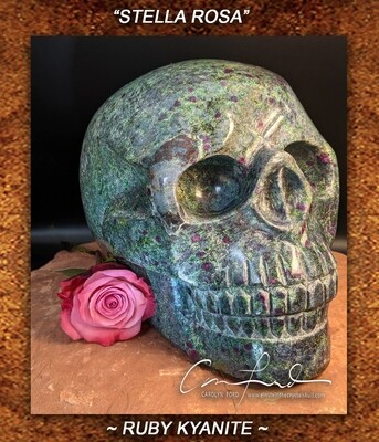 Ruby Fuchsite with Kyanite ~ Einstein Imprinted Skull, 