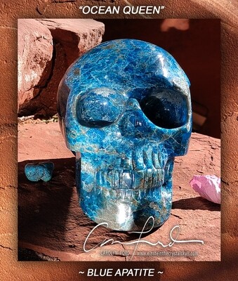 APATITE (Blue) Skull,  Einstein the Ancient Crystal Skull Imprinted, 