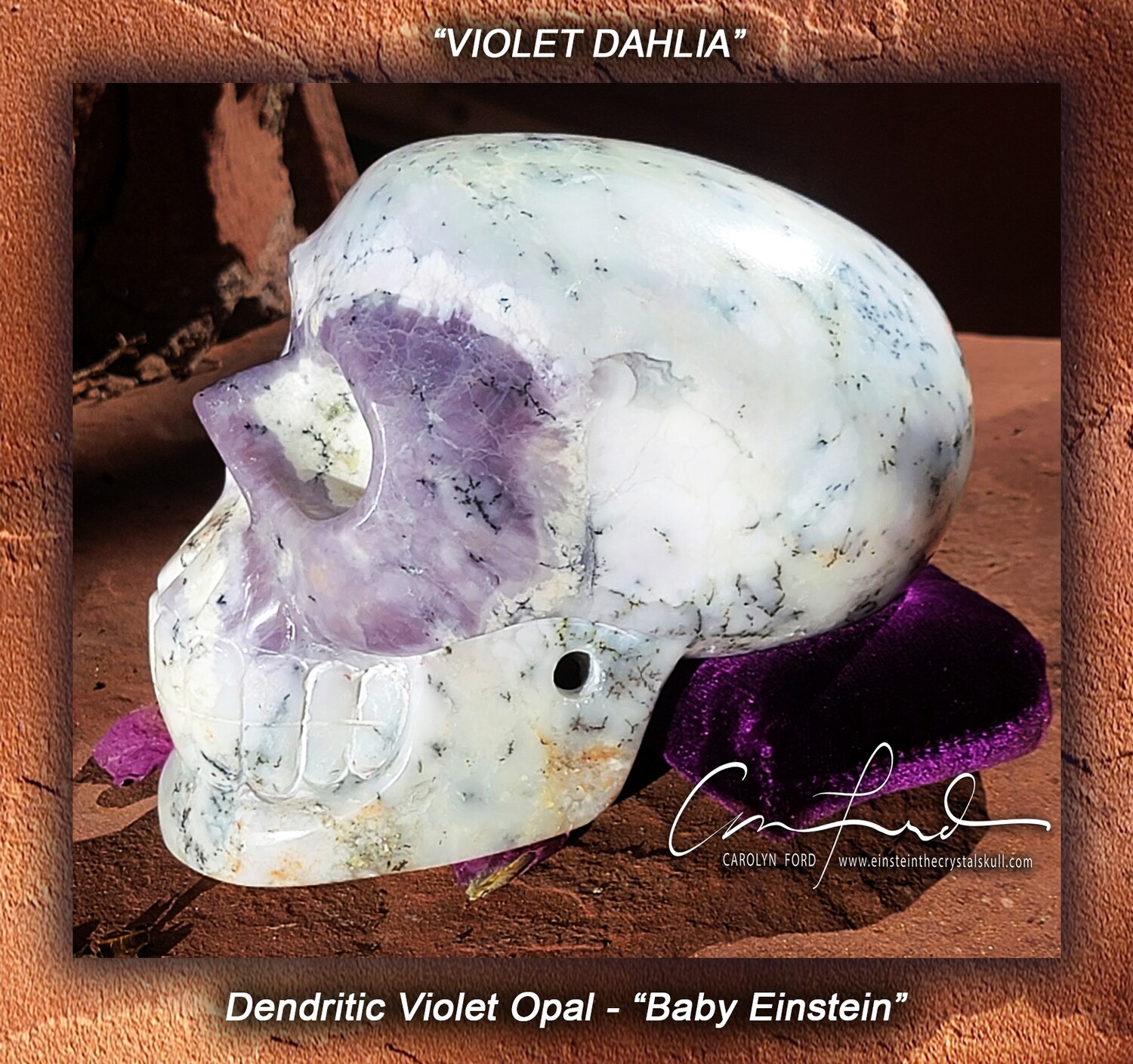 Baby Einstein, Dendritic Violet Opal, Einstein Imprinted, 