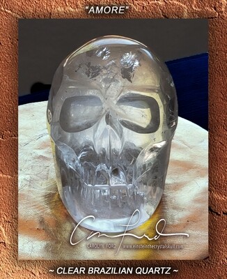 Clear Brazilian Quartz Crystal Skull, Einstein Imprinted, 