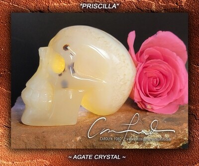 Agate Skull,  Einstein the Ancient Crystal 
Skull Imprinted 