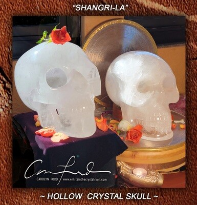 HOLLOW Quartz Crystal Skull, Einstein Imprinted 