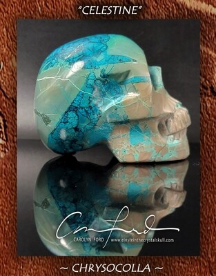 CHRYSOCOLLA  Skull, Einstein Imprinted,  