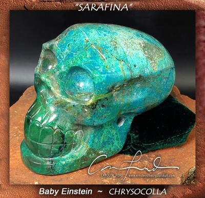 CHRYSOCOLLA, Baby Einstein  Skull, Einstein Imprinted, 