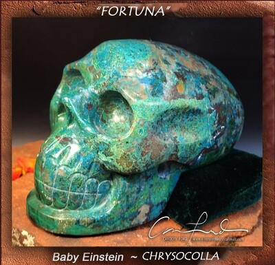 CHRYSOCOLLA, Baby Einstein  Skull, Einstein Imprinted, 