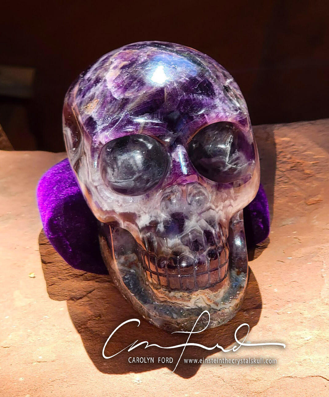 Chevron Amethyst Skull ~ Baby Einstein ~ Einstein Imprinted  