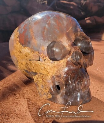 Chalcedony Browns, Einstein the Ancient Crystal
Skull Imprinted 
