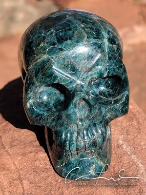 Green Apatite, EINSTEIN Imprinted Skull, 