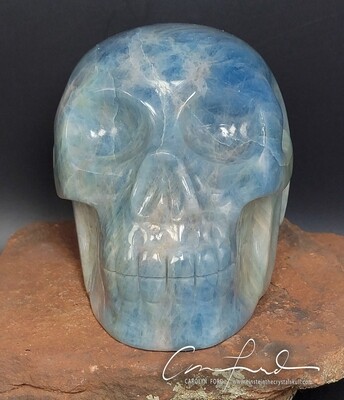 AQUAMARINE Skull, Einstein Imprinted ~   